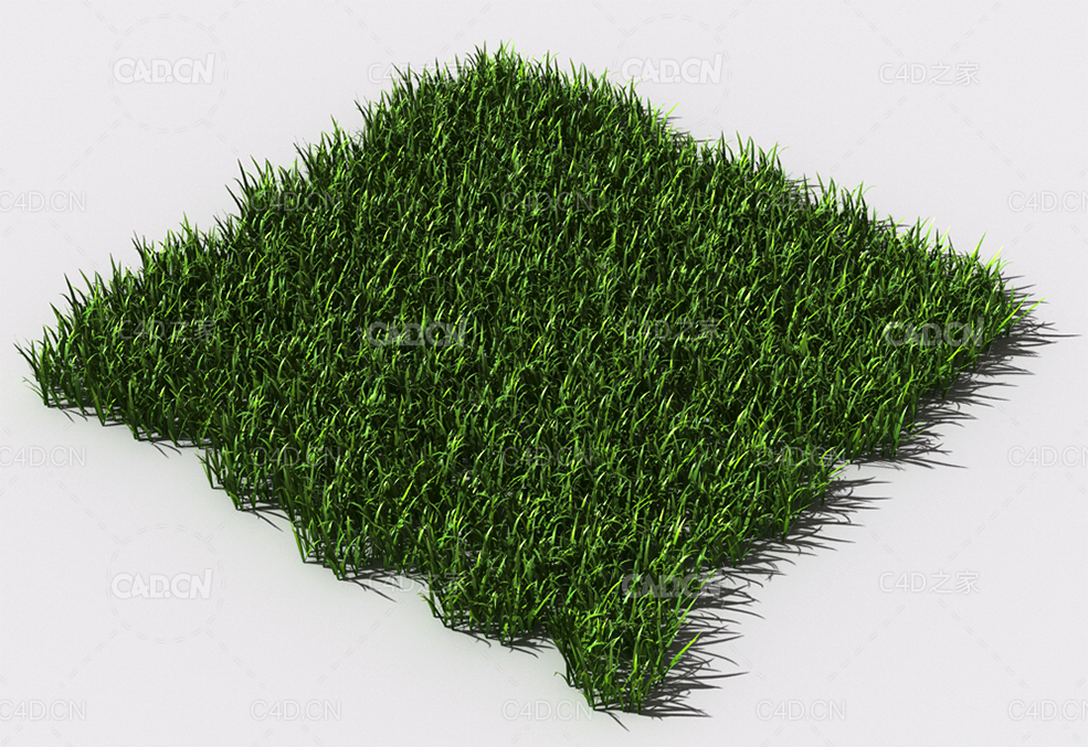 野草植物C4D模型 pattern_wild-grass-14 - C4D之家 - 100.jpg