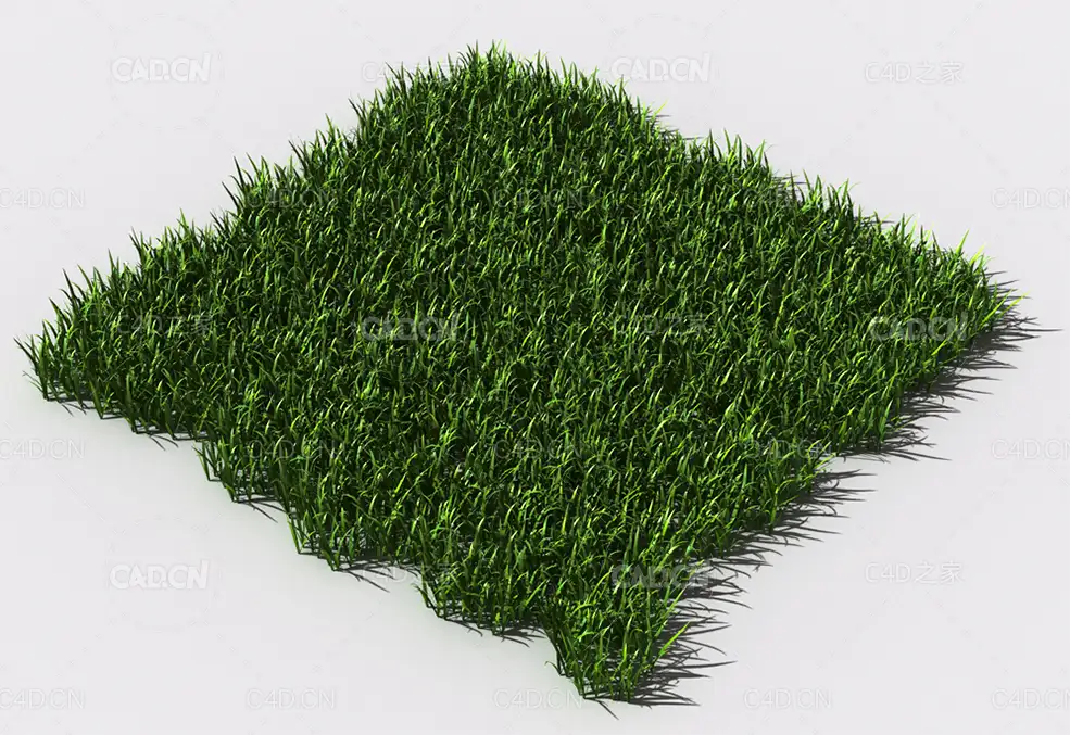 野草植物C4D模型 pattern_wild-grass-14 - C4D之家 - 100.jpg