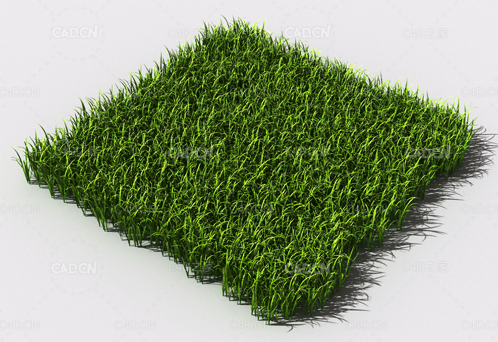 野草植物C4D模型 pattern_wild-grass-17 - C4D之家 - 103.jpg