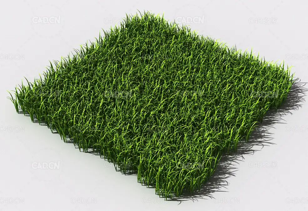 野草植物C4D模型 pattern_wild-grass-17 - C4D之家 - 103.jpg