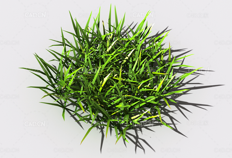 小草植物C4D模型 small-grass-2 - C4D之家 - 106.jpg
