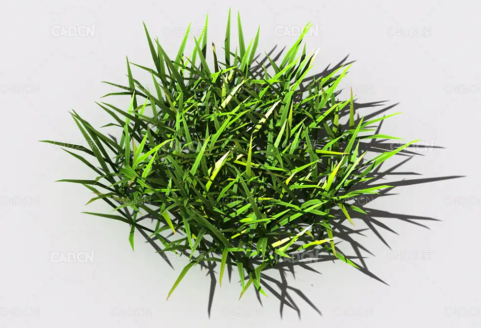 小草植物C4D模型 small-grass-2 - C4D之家 - 106.jpg