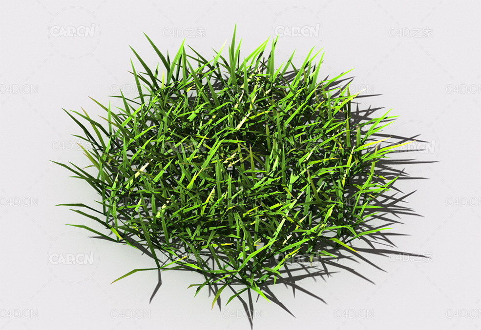 小草植物C4D模型 small-grass-1 - C4D之家 - 105.jpg