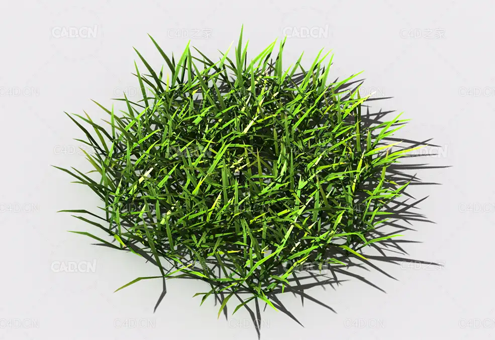 小草植物C4D模型 small-grass-1 - C4D之家 - 105.jpg