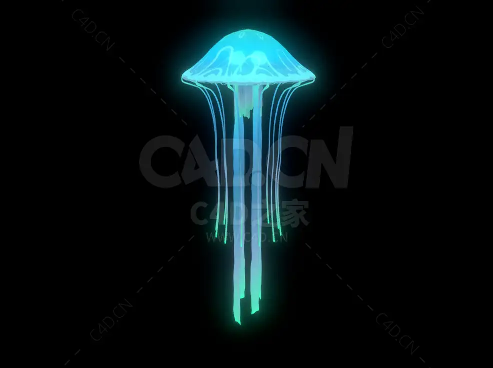 水母 Jellyfish-2