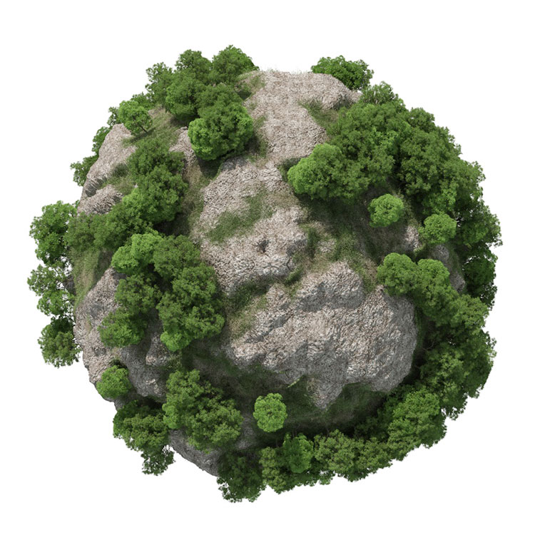 C4D植物树木草地石头生成插件 Forester v1.5.0 For Cinema 4D R20/R23/R25 Win