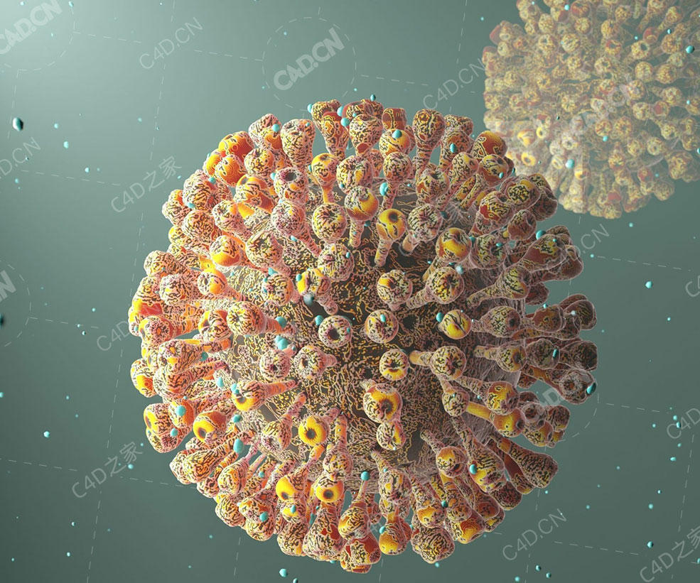 新冠病毒球状病毒病菌微生物模型下载 Corona Covid-19 3D Model