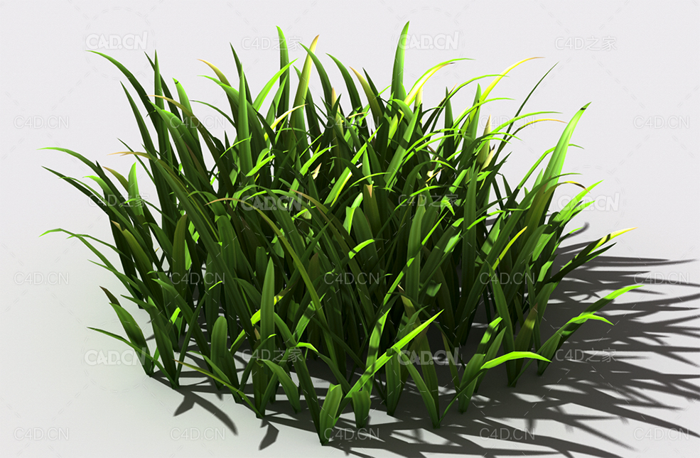 野草植物C4D模型 wild-grass-a1 - C4D之家 - 129.jpg