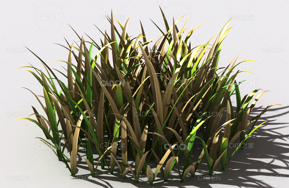 野草植物C4D模型 wild-grass-a2 - C4D之家 - 130.jpg