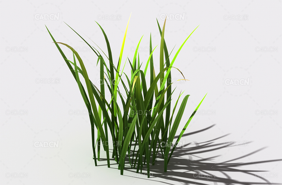 野草植物C4D模型 wild-grass-b1 - C4D之家 - 131.jpg