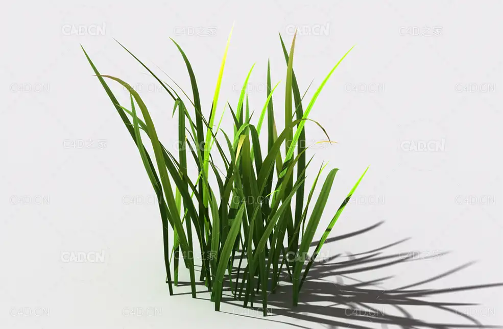 野草植物C4D模型 wild-grass-b1 - C4D之家 - 131.jpg