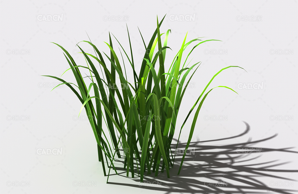 野草植物C4D模型 wild-grass-b2 - C4D之家 - 132.jpg