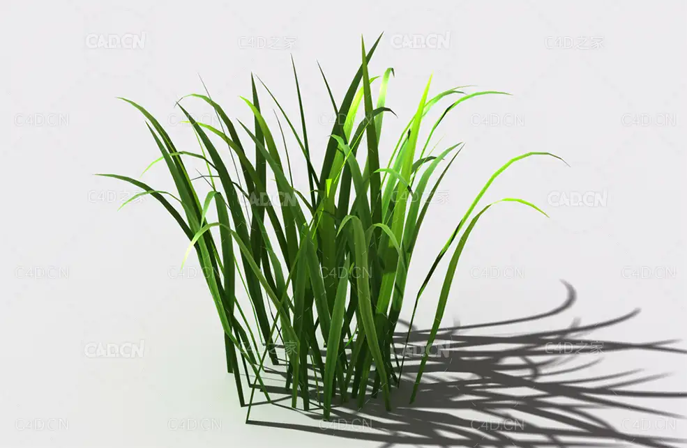 野草植物C4D模型 wild-grass-b2 - C4D之家 - 132.jpg