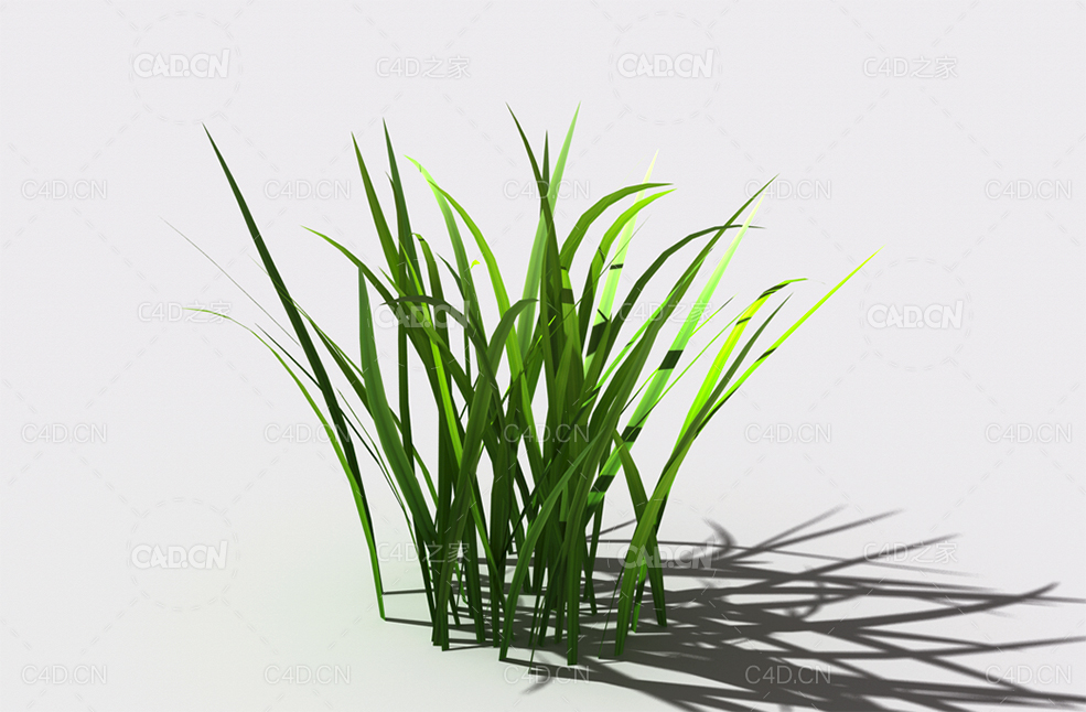 野草植物C4D模型 wild-grass-b3 - C4D之家 - 133.jpg