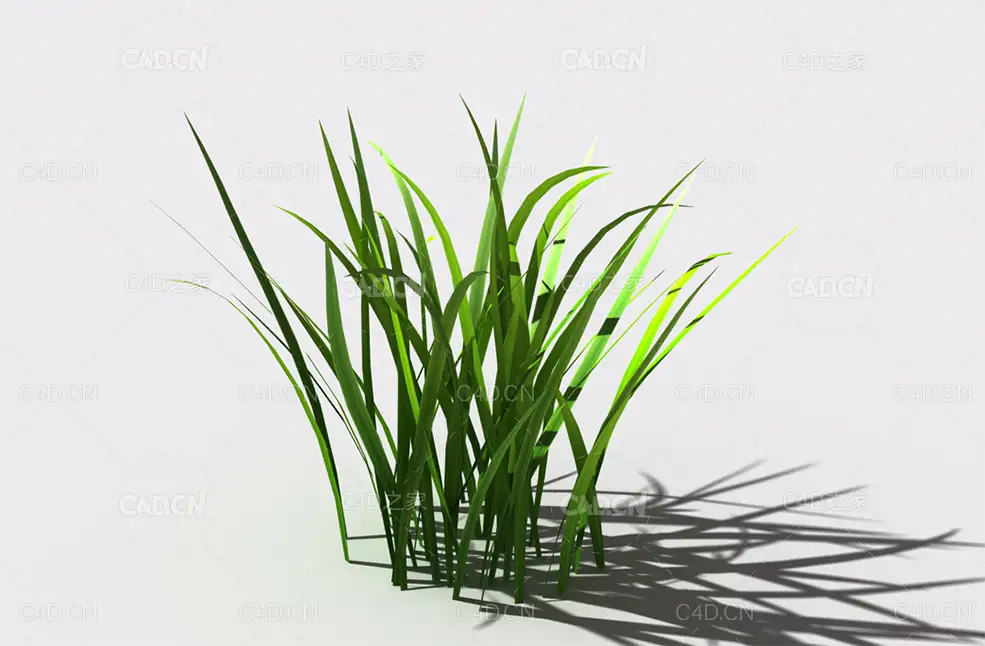 野草植物C4D模型 wild-grass-b3 - C4D之家 - 133.jpg