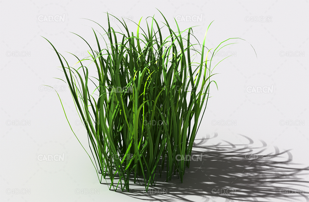 野草植物C4D模型 wild-grass-c1 - C4D之家 - 134.jpg