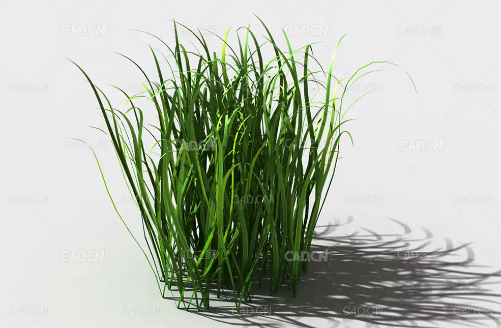 野草植物C4D模型 wild-grass-c1 - C4D之家 - 134.jpg