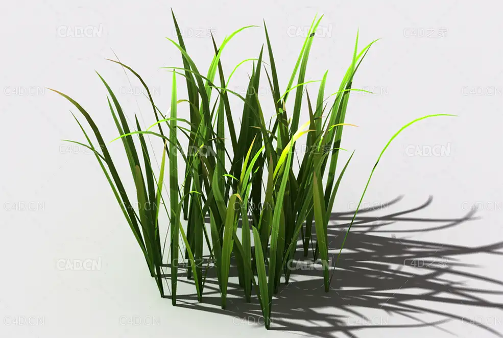 野草植物C4D模型 wild-grass-d1 - C4D之家 - 135.jpg