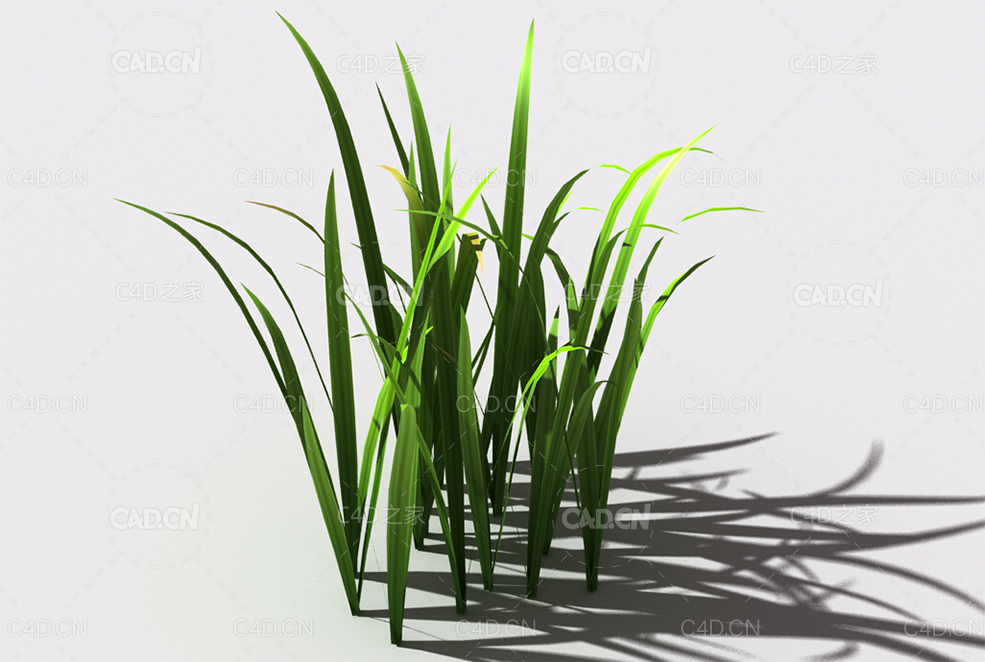野草植物C4D模型 wild-grass-d2 - C4D之家 - 136.jpg