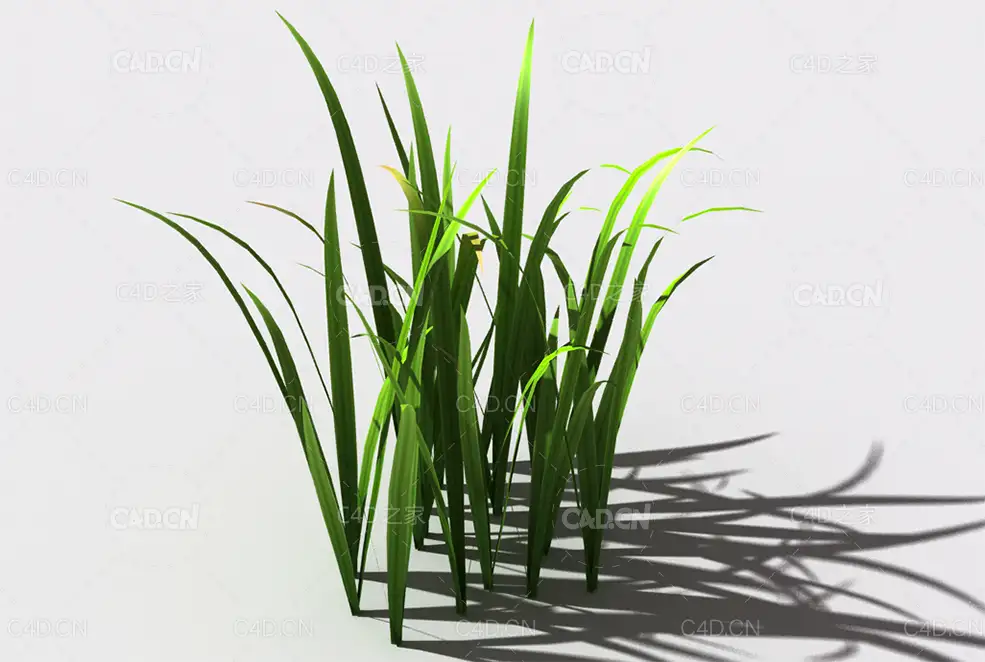 野草植物C4D模型 wild-grass-d2 - C4D之家 - 136.jpg