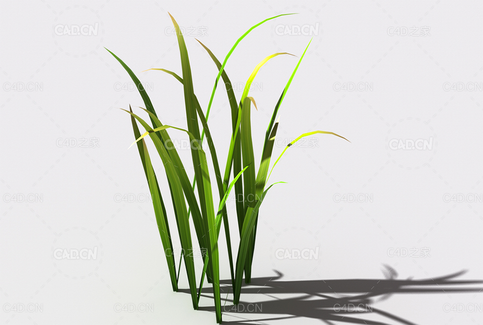 野草植物C4D模型 wild-grass-d3 - C4D之家 - 137.jpg