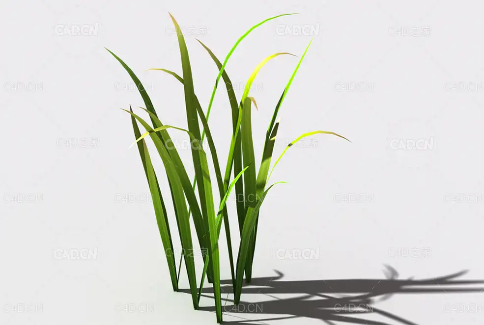 野草植物C4D模型 wild-grass-d3 - C4D之家 - 137.jpg