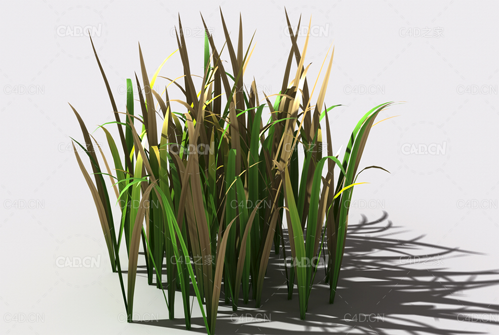 野草植物C4D模型 wild-grass-e1 - C4D之家 - 138.jpg