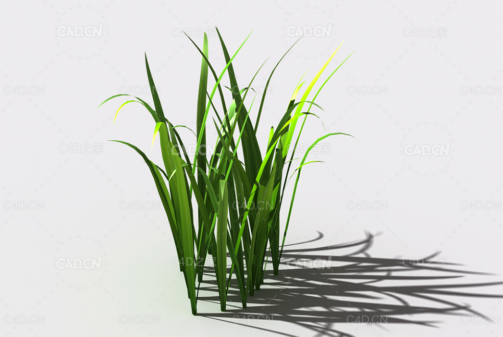 野草植物C4D模型 wild-grass-e2 - C4D之家 - 139.jpg