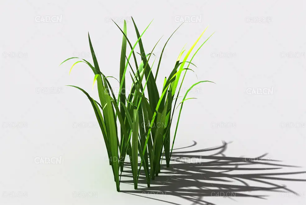 野草植物C4D模型 wild-grass-e2 - C4D之家 - 139.jpg