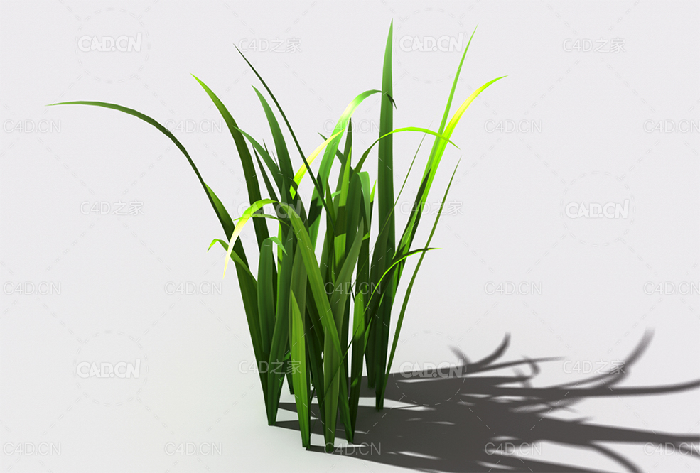 野草植物C4D模型 wild-grass-e3 - C4D之家 - 140.jpg