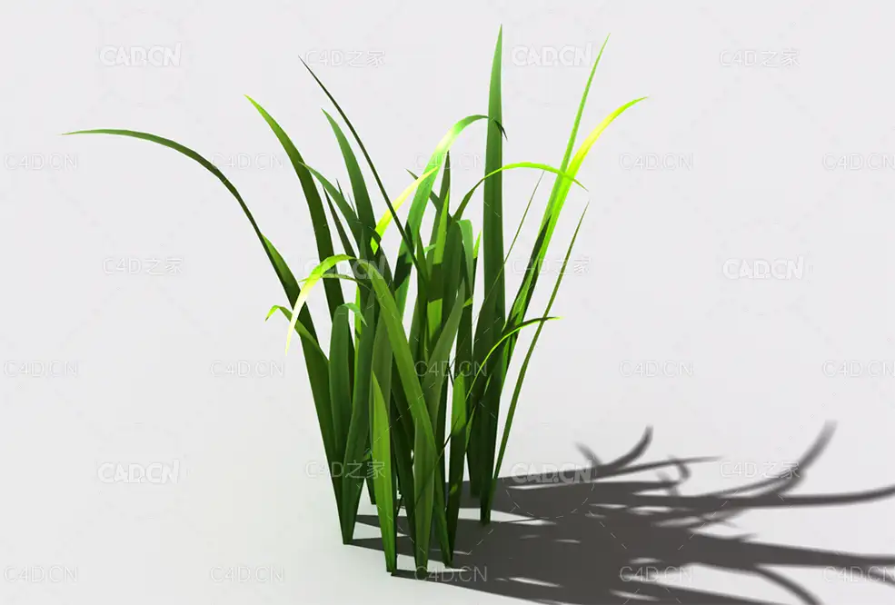 野草植物C4D模型 wild-grass-e3 - C4D之家 - 140.jpg