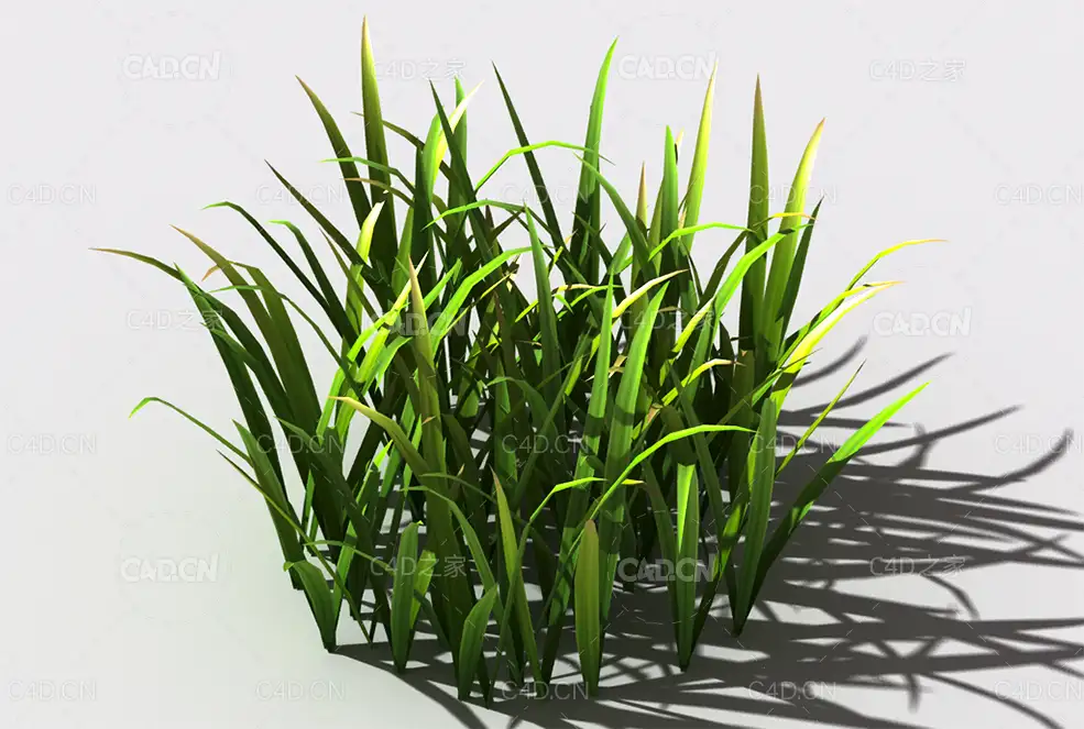 野草植物C4D模型 wild-grass-f1 - C4D之家 - 141.jpg