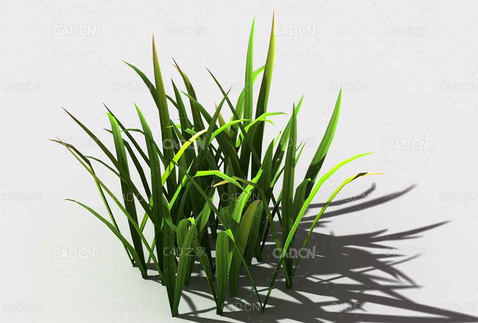 野草植物C4D模型 wild-grass-f2 - C4D之家 - 142.jpg