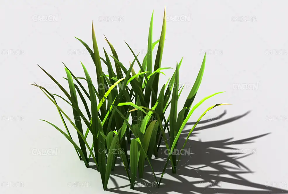 野草植物C4D模型 wild-grass-f2 - C4D之家 - 142.jpg