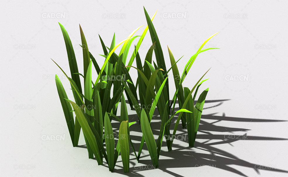野草植物C4D模型 wild-grass-g2 - C4D之家 - 144.jpg