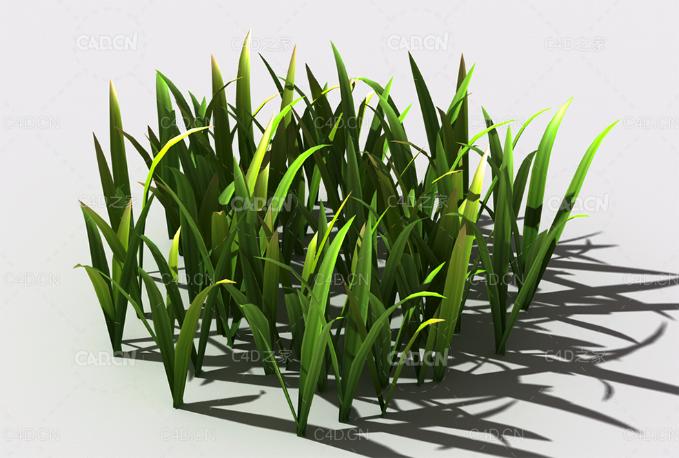 野草植物C4D模型 wild-grass-g1 - C4D之家 - 143.jpg