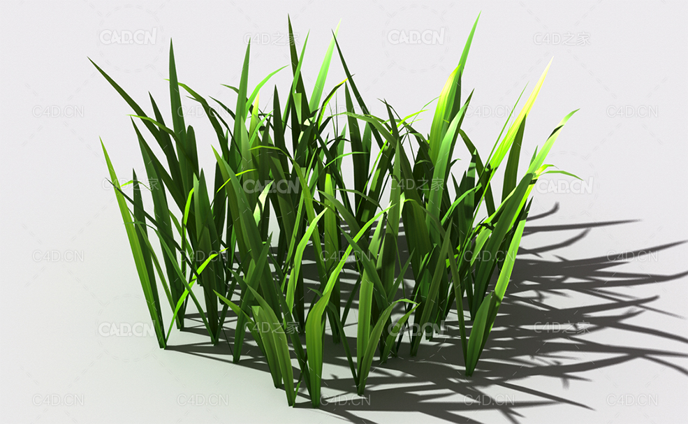 野草植物C4D模型 wild-grass-i1 - C4D之家 - 145.jpg