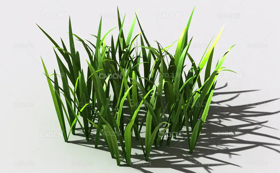 野草植物C4D模型 wild-grass-i1 - C4D之家 - 145.jpg