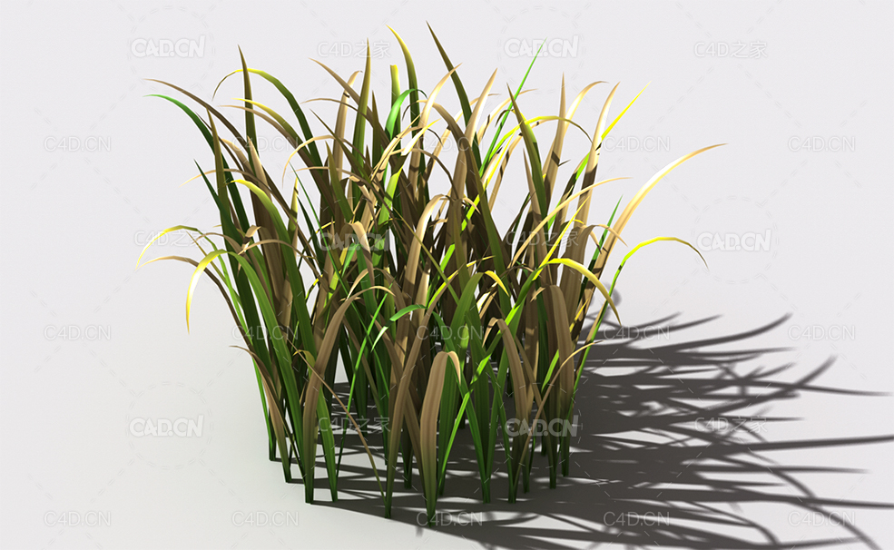 野草植物C4D模型 wild-grass-j1 - C4D之家 - 147.jpg