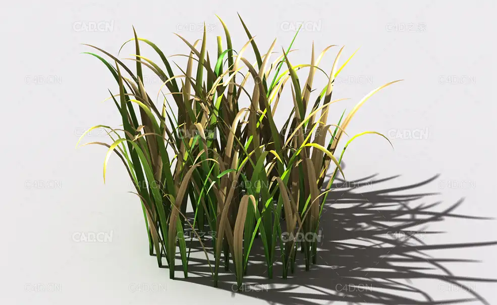 野草植物C4D模型 wild-grass-j1 - C4D之家 - 147.jpg