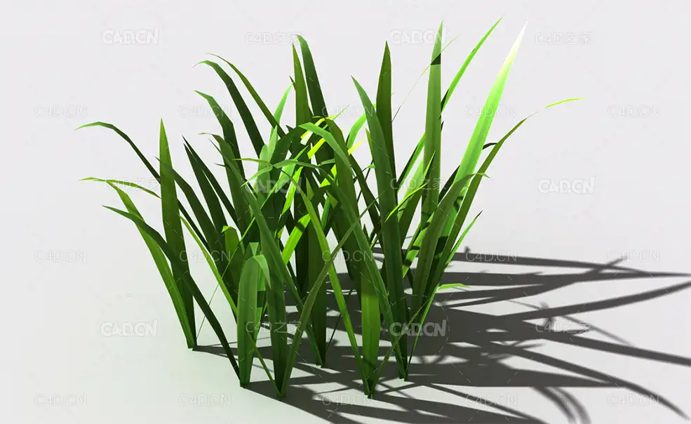 野草植物C4D模型 wild-grass-i2 - C4D之家 - 146.jpg