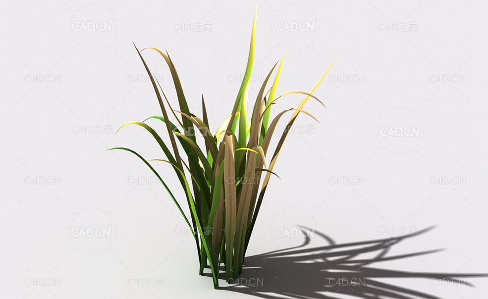 野草植物C4D模型 wild-grass-j3 - C4D之家 - 149.jpg