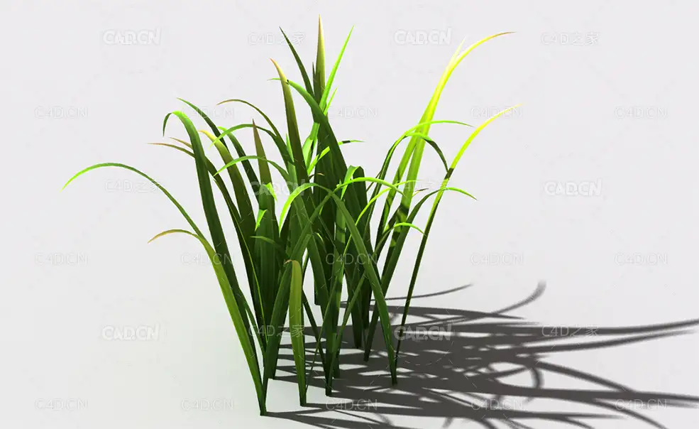 野草植物C4D模型 wild-grass-j2 - C4D之家 - 148.jpg