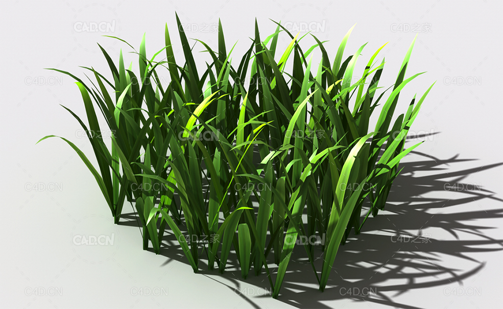 野草植物C4D模型 wild-grass-k1 - C4D之家 - 150.jpg