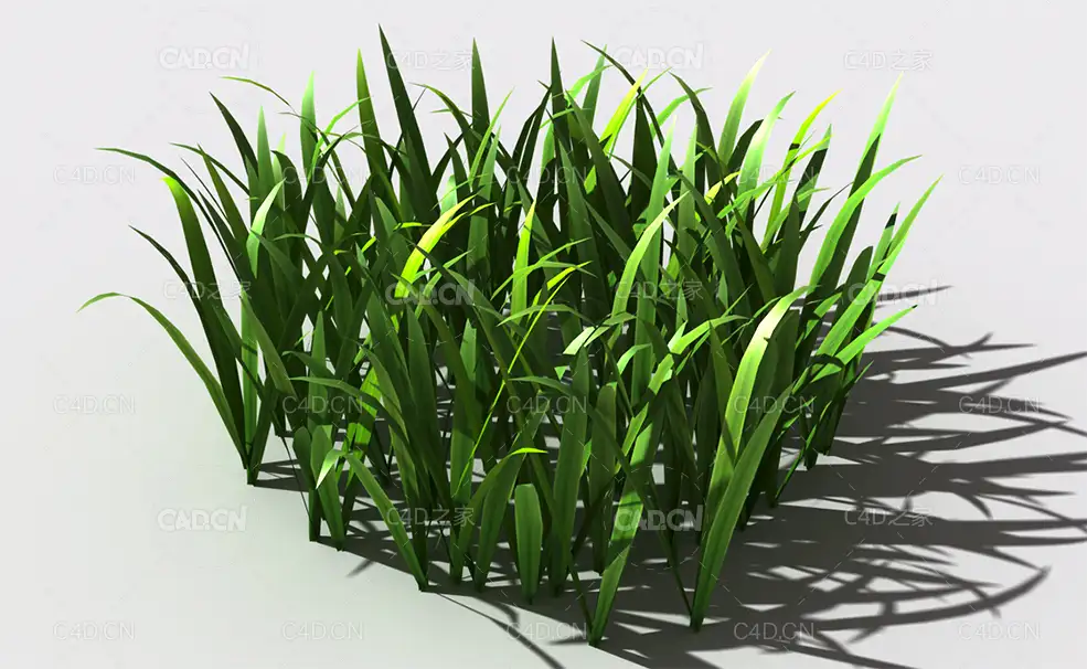 野草植物C4D模型 wild-grass-k1 - C4D之家 - 150.jpg