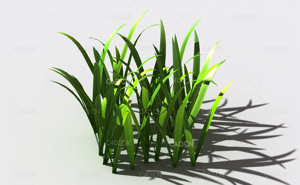 野草植物C4D模型 wild-grass-k2 - C4D之家 - 151.jpg