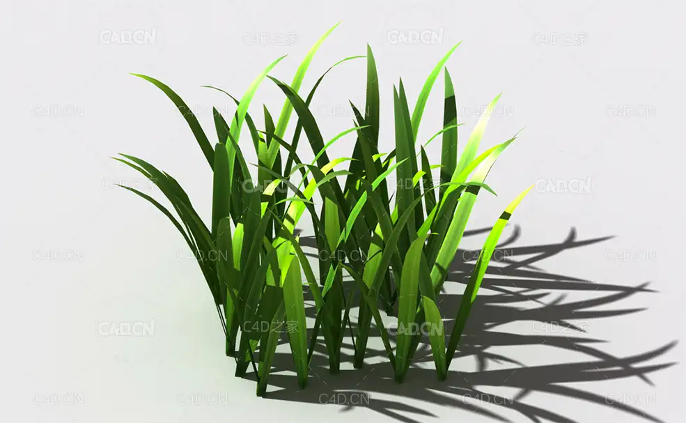 野草植物C4D模型 wild-grass-k2 - C4D之家 - 151.jpg