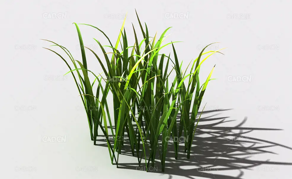 野草植物C4D模型 wild-grass-l1 - C4D之家 - 152.jpg