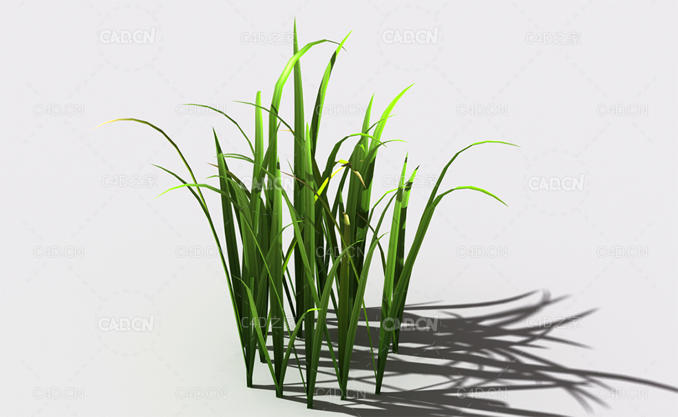 野草植物C4D模型 wild-grass-l2 - C4D之家 - 153.jpg