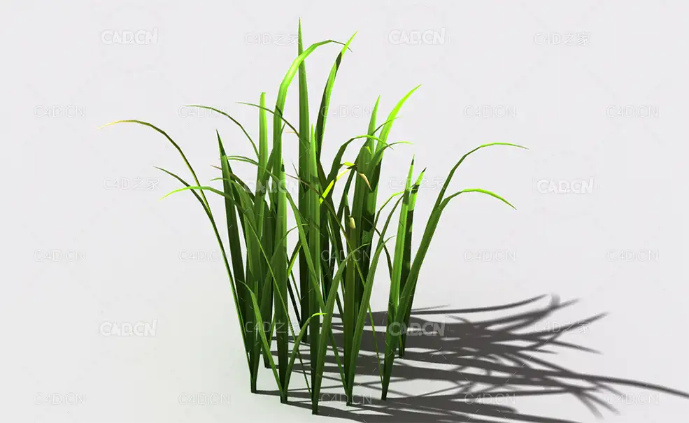 野草植物C4D模型 wild-grass-l2 - C4D之家 - 153.jpg